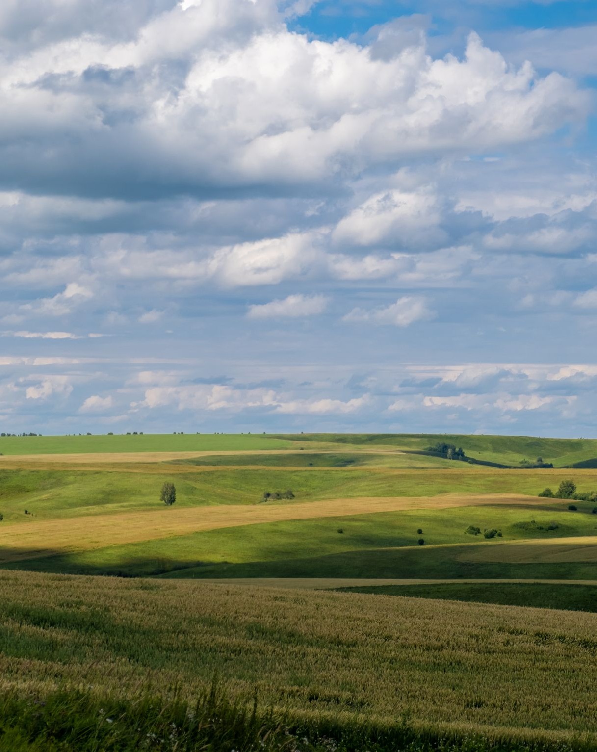 North Dakota